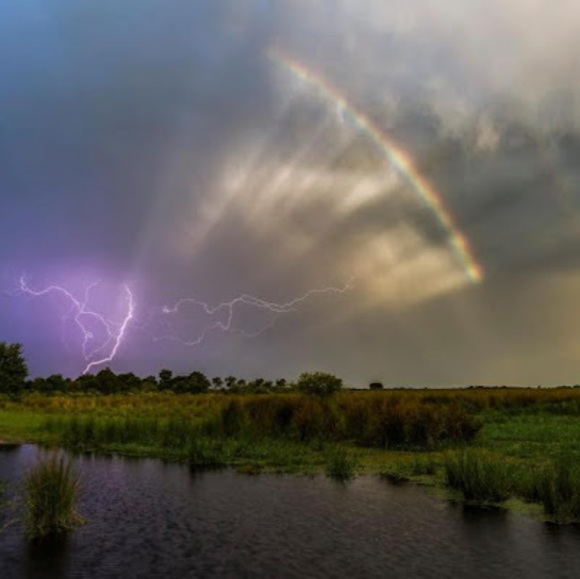 Meet your Posher, Wendy rex - Picture 1 of 1